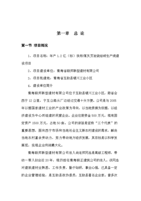 粉煤灰页岩烧结砖生产线建设项目可行性研究报告word文档(图文高清版)